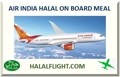 Air India aircraft flying above a mountain range under a clear sky