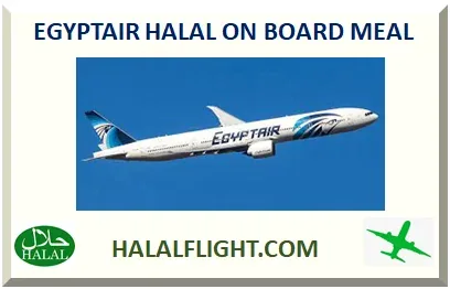 EgyptAir passenger jet in flight against a clear sky with its tail fin in view