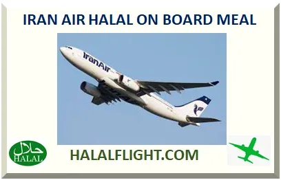 Iran Air passenger jet in flight against a pale sky, used to introduce the airline's onboard meal guide