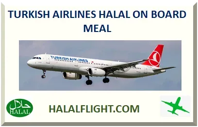 Turkish Airlines passenger aircraft on the ground with landing gear extended and sky behind